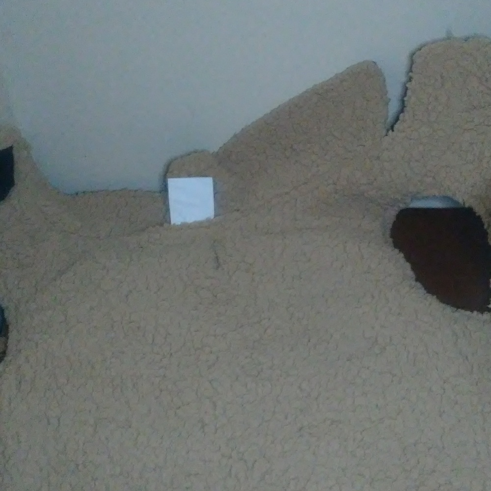 "Born To Ride"-- Medium Dog Coat - Picture 4 of 5